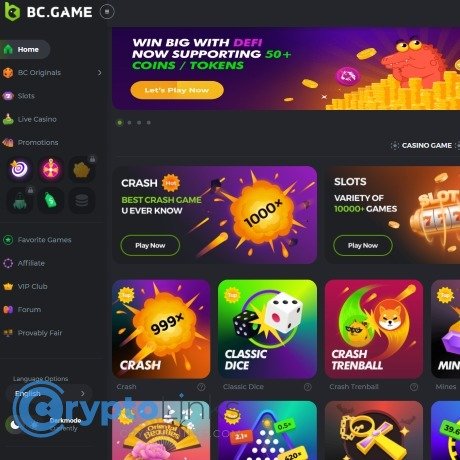 Exploring BC.Game Casino and Sportsbook An Unmatched Gaming Experience