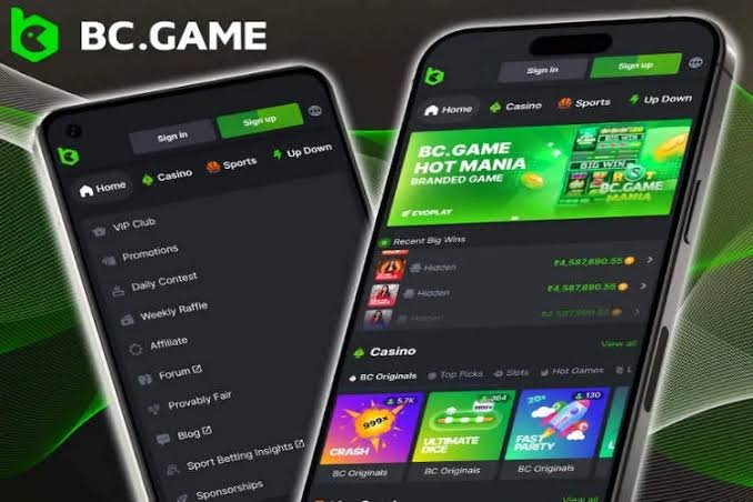 Download the BC.Game Mirror App for Ultimate Gaming Experience 940353474